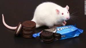 White rat with package of Oreo cookies
