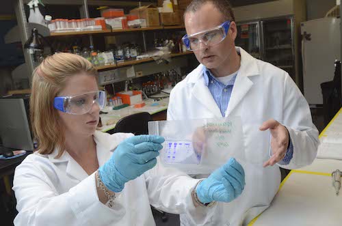 Photo of Dr. Dalby in lab with researcher
