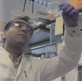 Photo of Pharm Tox researcher in lab