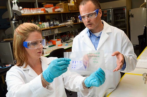 Dr. Kevin Dalby and Researcher in lab