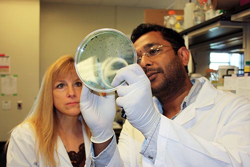 Dr. Karen Vasquez and researcher in lab