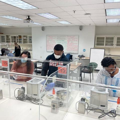 Student pharmacist Bruno Onwukwe working along colleagues in the lab.