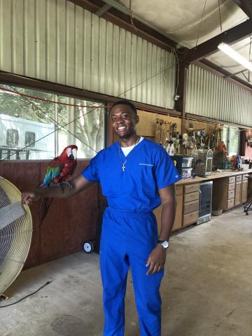 Bruno wearing blue scrubs holding a parrot. 