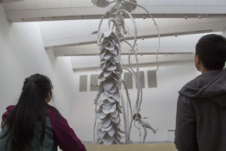 2018 blanton siphonophora