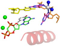 Structure of human DNA polymerase beta incorporating dATP opposite cisplatinated DNA