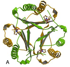 A) trans-3-chloroacrylic acid dehalogenase (CaaD)