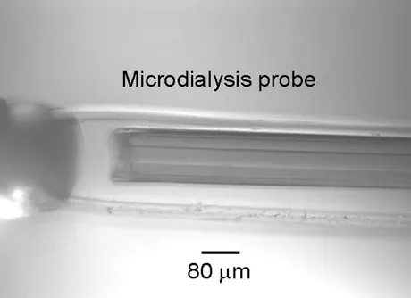 Gonzales Lab Photo - Probe