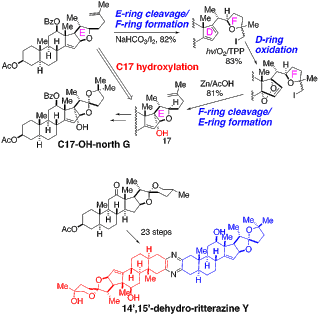 Synthesis of 14,15-dehydro-ritterazine Y