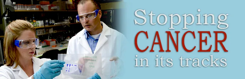 stop cancer banner