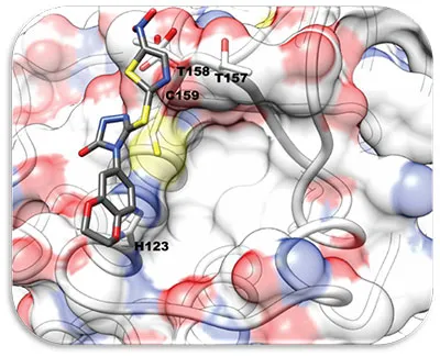 BI-78D3 binding to ERK2 (PDB 4ERK); text reads T157, T158, C159, H123