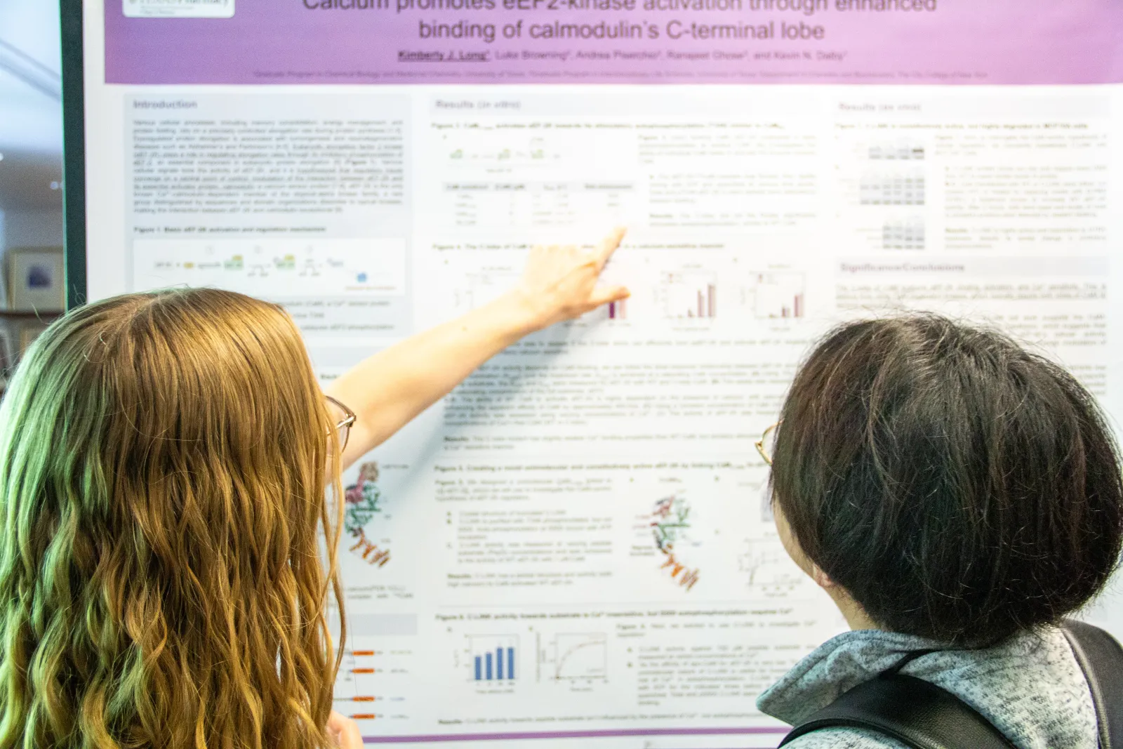 Someone pointing at a research poster while talking to someone else.