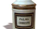 picture of palma