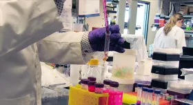 A person in a lab.