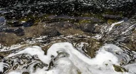 Swirling ocean water that it foamed in swirls.