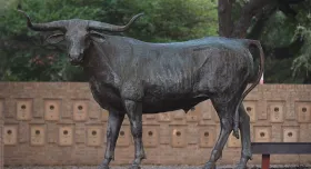 A bronze sculpture of Bevo the bull outside the Alumni Center on UT Austin campus.
