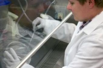 Picture lab student