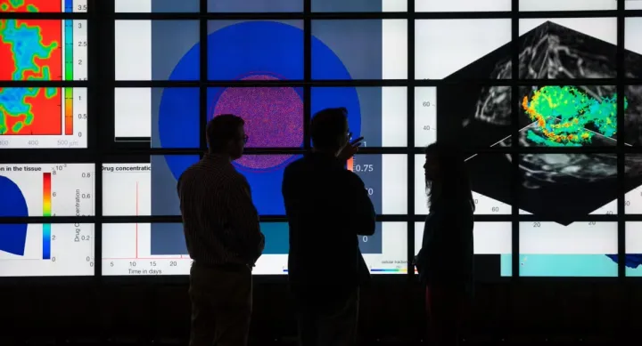 Silhouetted figures standing in front of multi-paneled monitors to look at scientific visualizations.