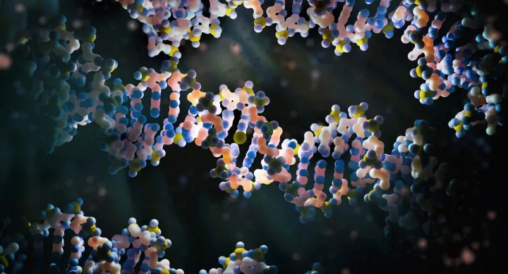 An image of a double helix.