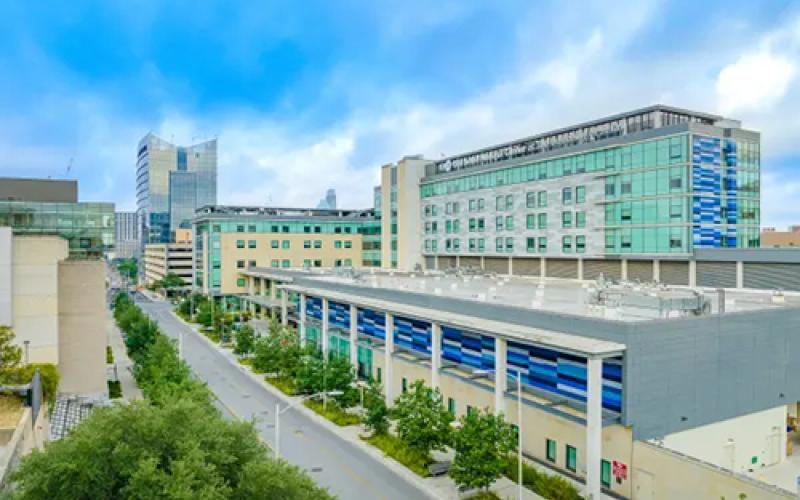 Dell Seton Medical Center at The University of Texas